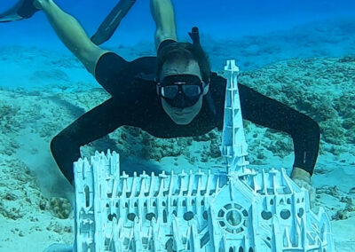 Reef Restoration
